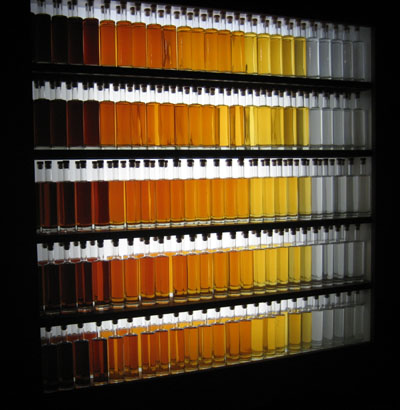 Camus Colors Cognac.jpg