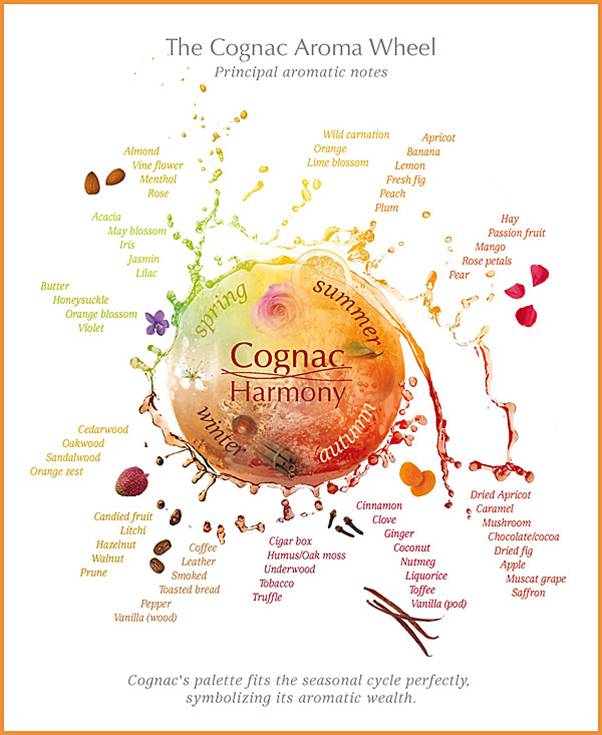 Cognac Aroma Wheel.jpg