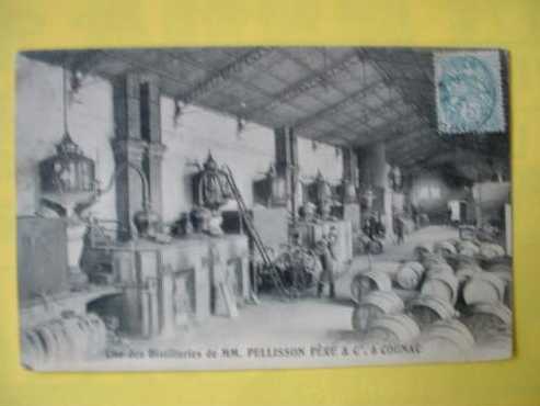 pellison1907.JPG