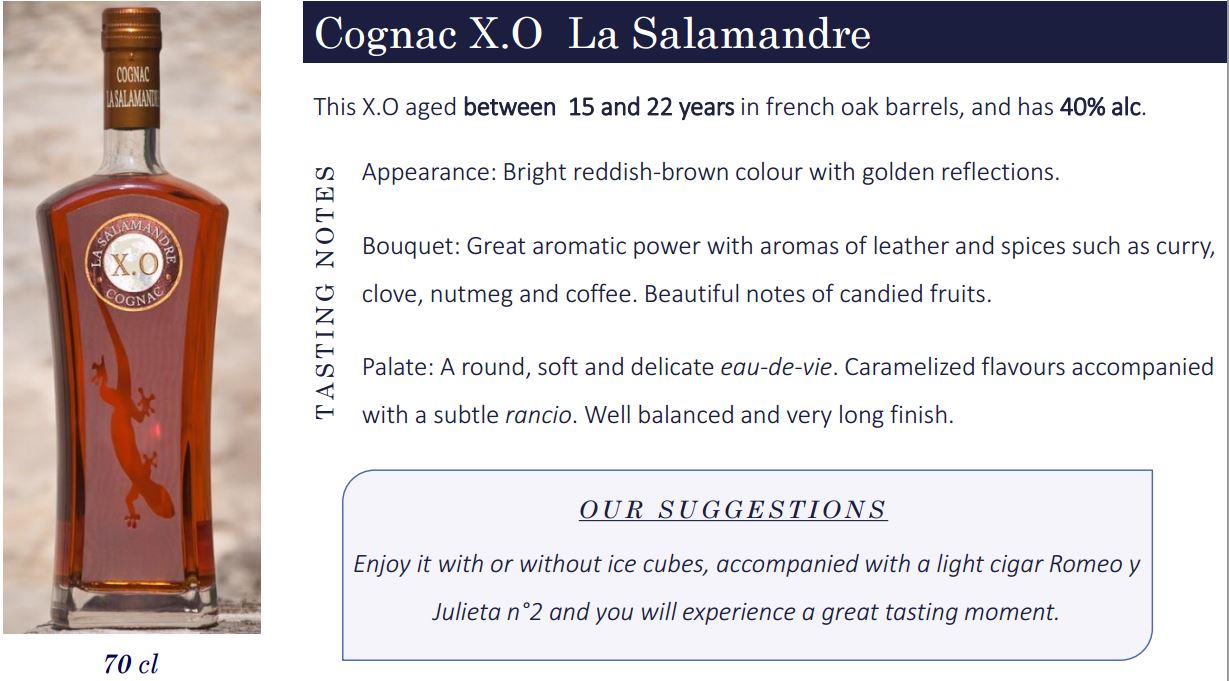 XO La Salamandre.JPG