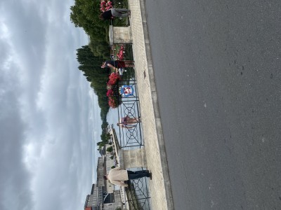 Zot die in de charente springt