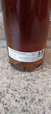 Aubineau pineau 1982 back label.jpg