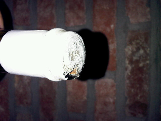 IMG00070-20110731-0741.jpg