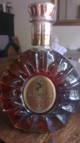 remy 2 (1).jpg